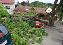Kwikfynd Tree Cutting Services
manoorasa