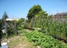 Kwikfynd Vegetable Gardens
manoorasa